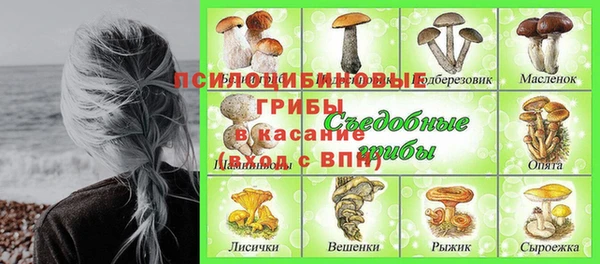 apvp Алексеевка