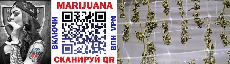 Бошки Шишки VHQ  Апатиты 